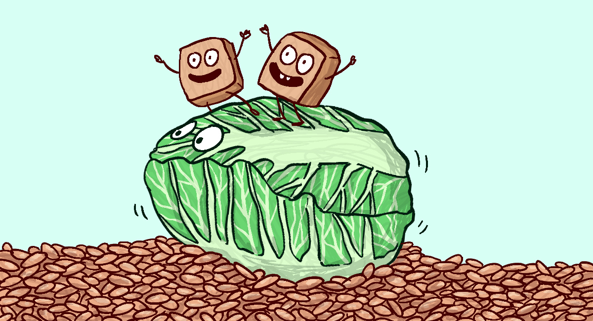 Chinakohl und Räuchertofu mit Vollkornreis