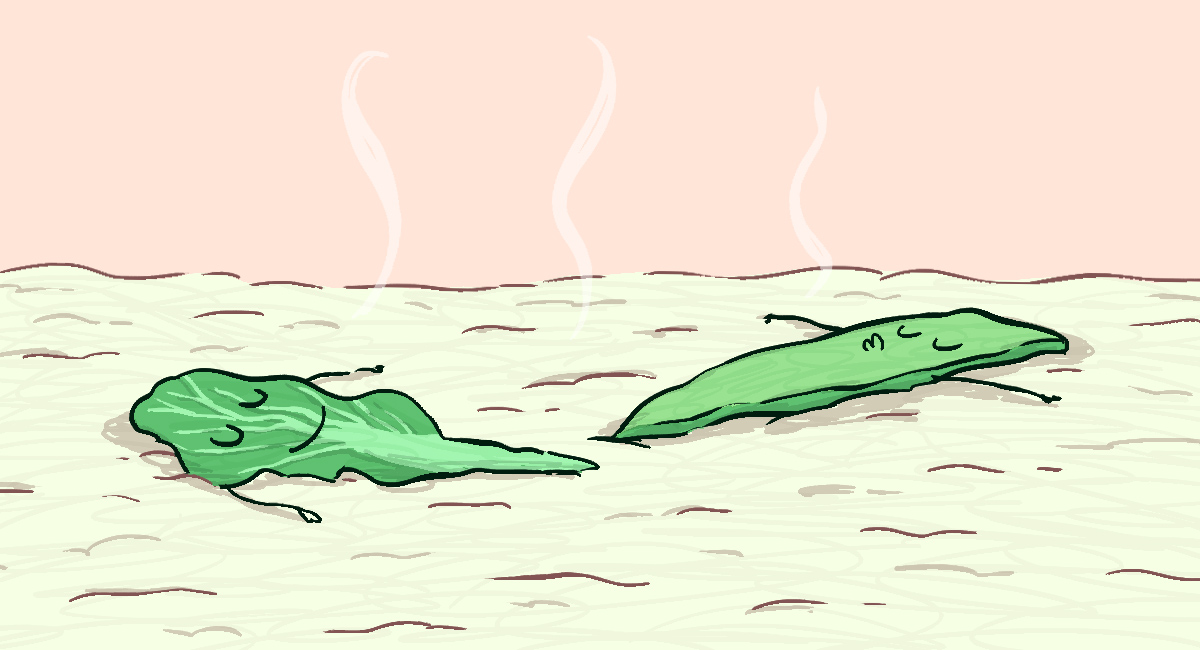 Reis/Reis-Pasta in Zucchini-Sahnesauce